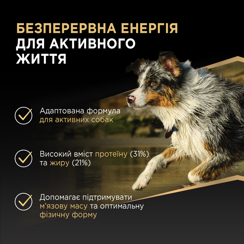 Сухой корм для собак Pro Plan Adult All Sizes Protein & Energy 3 кг - курица Сухой корм для собак Pro Plan Adult All Sizes Protein & Energy 3 кг - курица