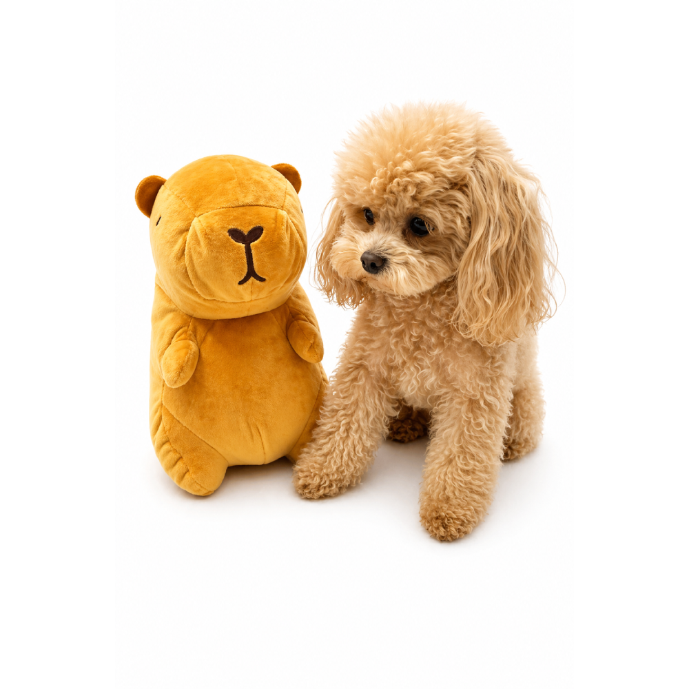 Іграшка для собак Pet Fun Капібара з пискавкою 28×16 см - коричневий