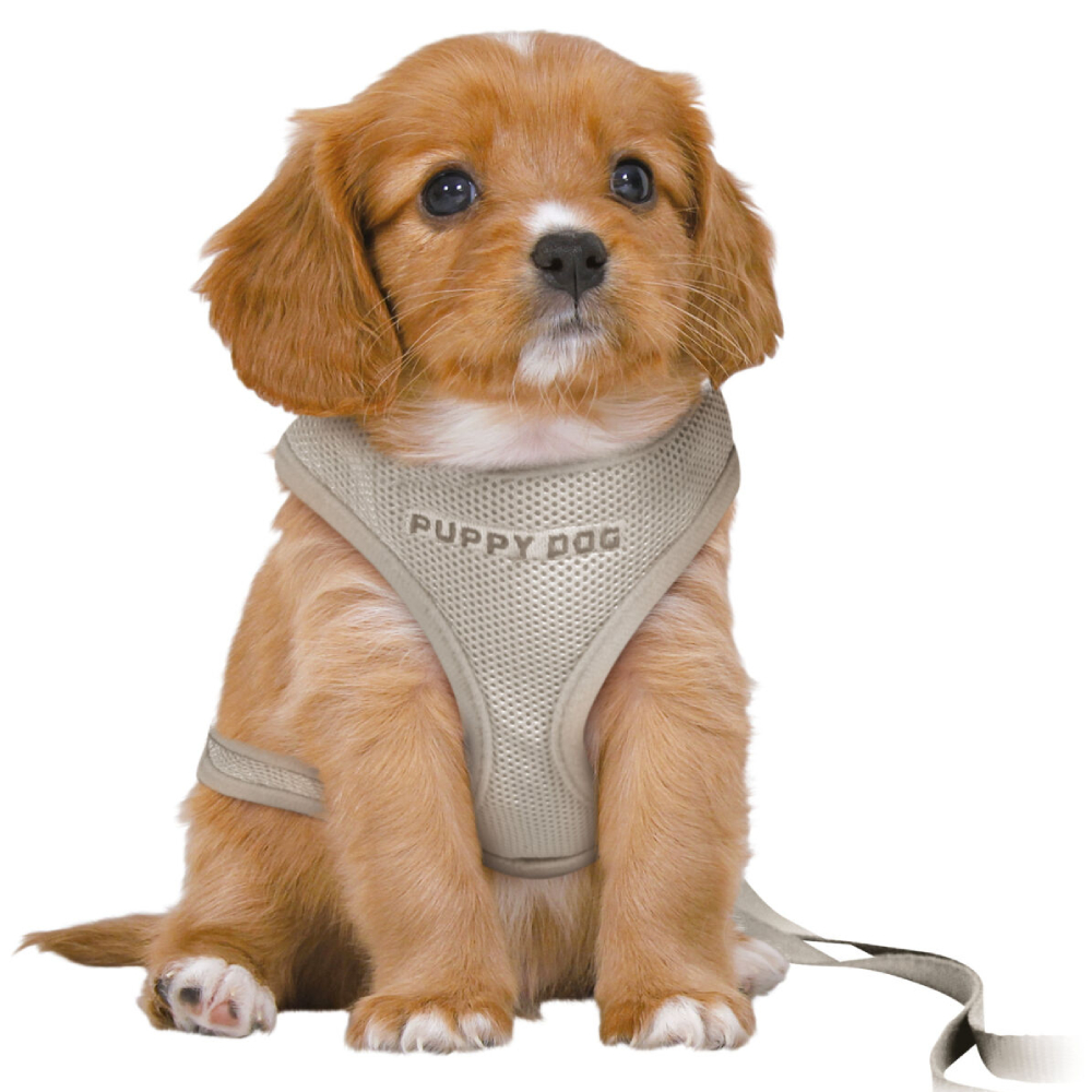 Шлея з повідцем для цуценят Trixie Junior Puppy Soft S-M - сірий Шлея з повідцем для цуценят Trixie Junior Puppy Soft S-M - сірий
