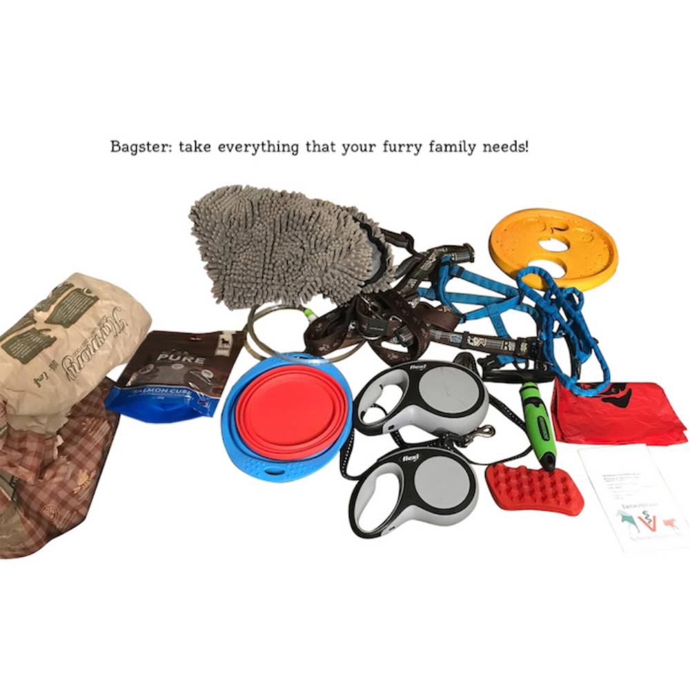 Сумка-органайзер для собак Pet Fun Bagster 38х19х30 см – серый