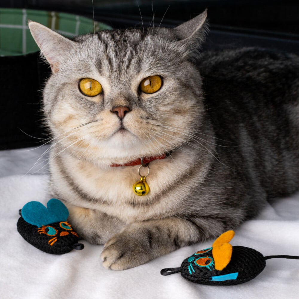Игрушка для кошек Barksi Дентал Мышки с колокольчиком 2 шт 6,5х4,5 см - черный