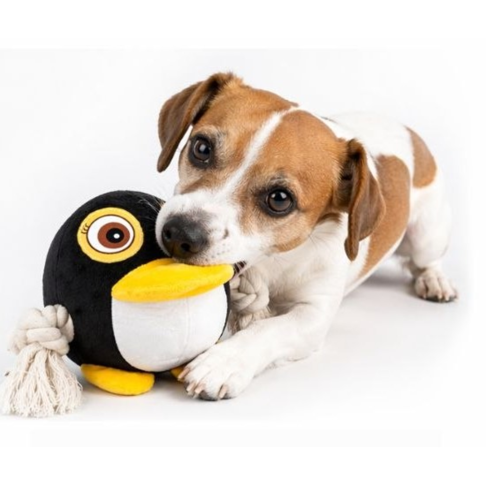 Іграшка для собак Pet Fun Пінгвін з пискавкою 15х16 см - різнокольоровий