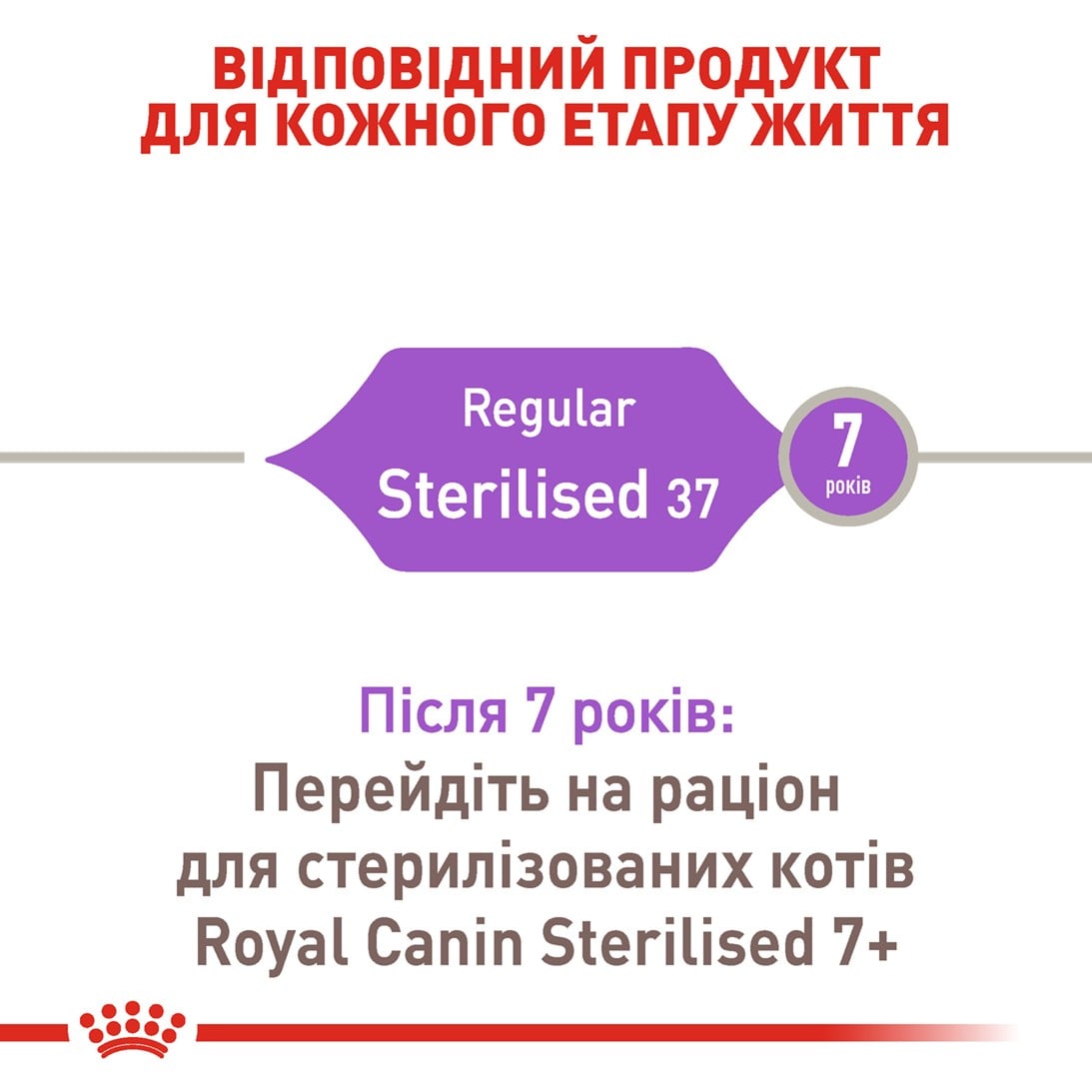 Сухий корм для котів Royal Canin Sterilised 37 4 кг + Іграшка-диспенсер для ласощів Сухий корм для котів Royal Canin Sterilised 37 4 кг + Іграшка-диспенсер для ласощів
