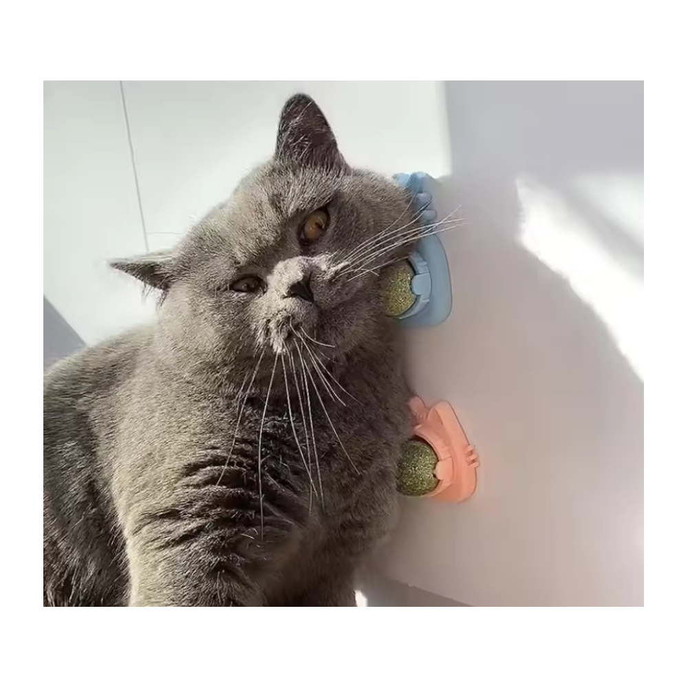 Іграшка для котів Pet Fun Кулька-лизун Мордочка - помаранчевий