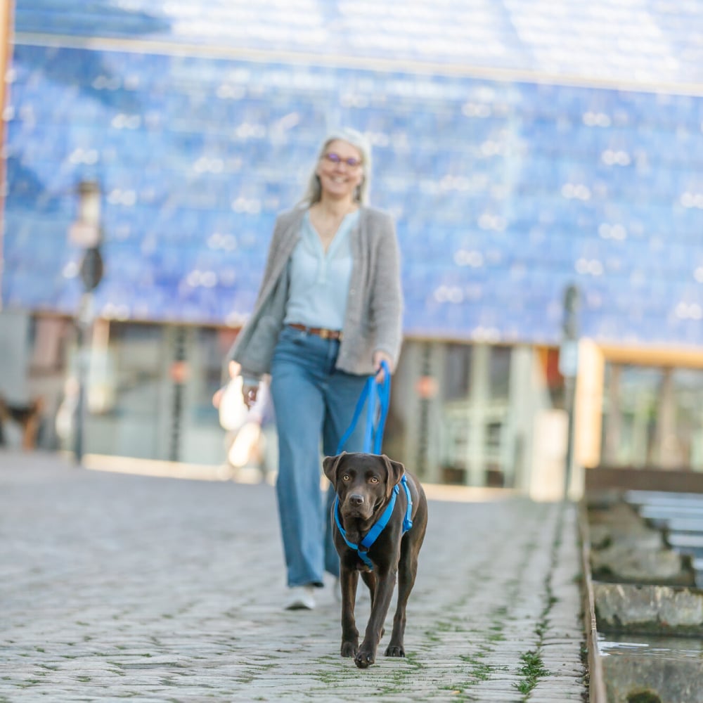 Шлея для собак Trixie Premium H-harness XXS–XS - синій Шлея для собак Trixie Premium H-harness XXS–XS - синій