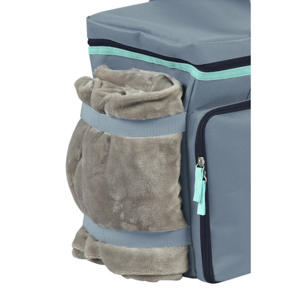 Сумка-органайзер для собак Pet Fun Bagster 38х19х30 см – серый