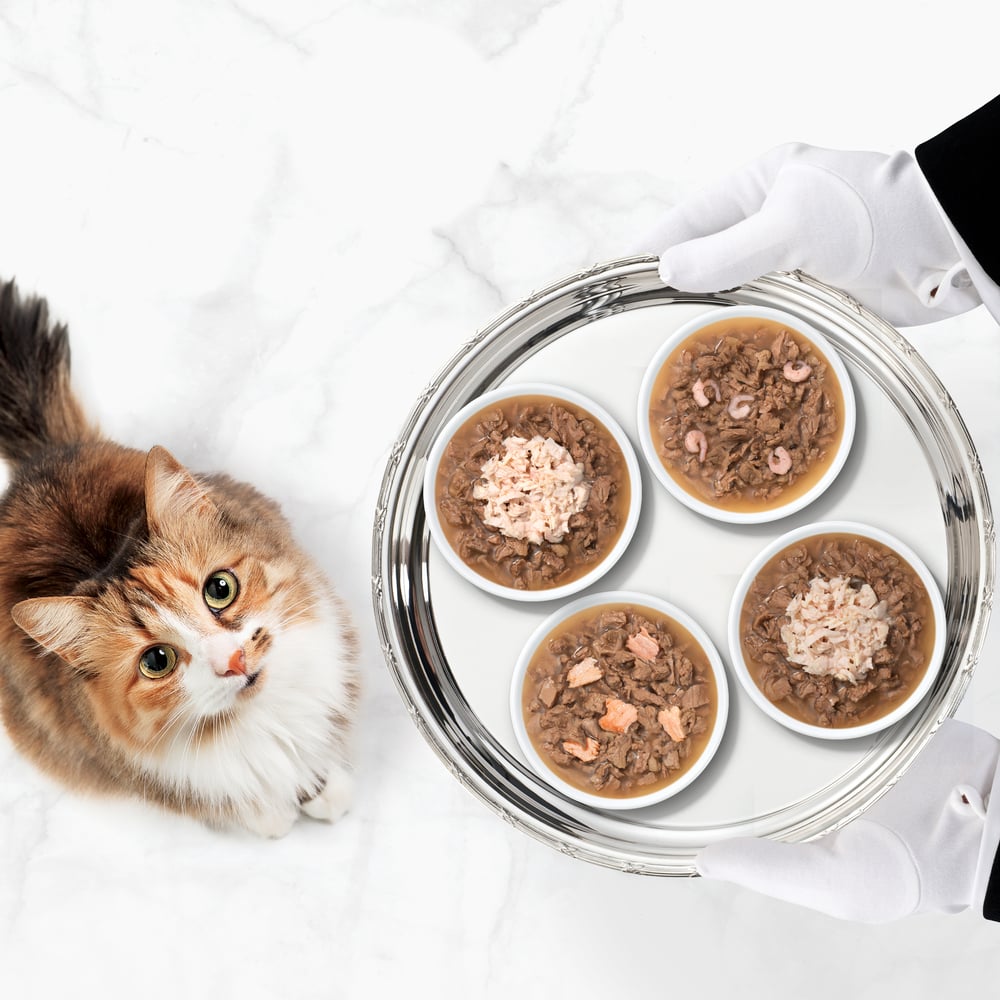 Вологий корм для котів Catit Cuisine Duet 75 г - курка та креветки Вологий корм для котів Catit Cuisine Duet 75 г - курка та креветки