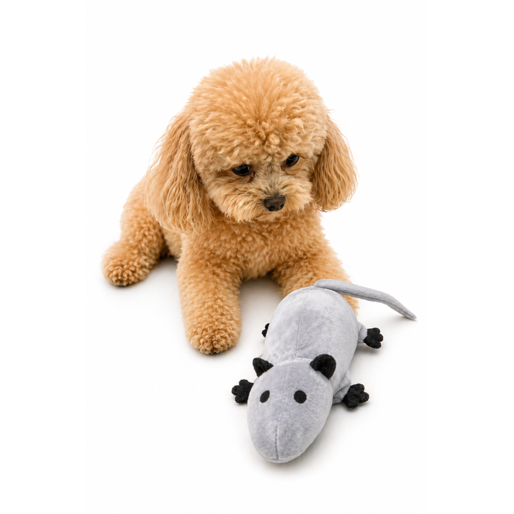 Іграшка для собак Pet Fun Пацюк з пискавкою 19х13 см - сірий