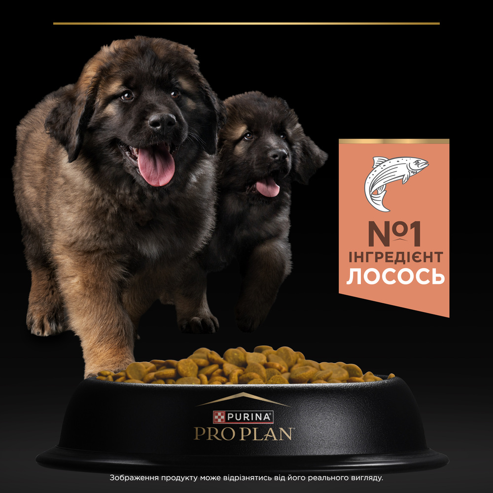 Сухой корм для щенков Pro Plan Puppy Large Robust Sensitive Skin 12 кг - лосось Сухой корм для щенков Pro Plan Puppy Large Robust Sensitive Skin 12 кг - лосось