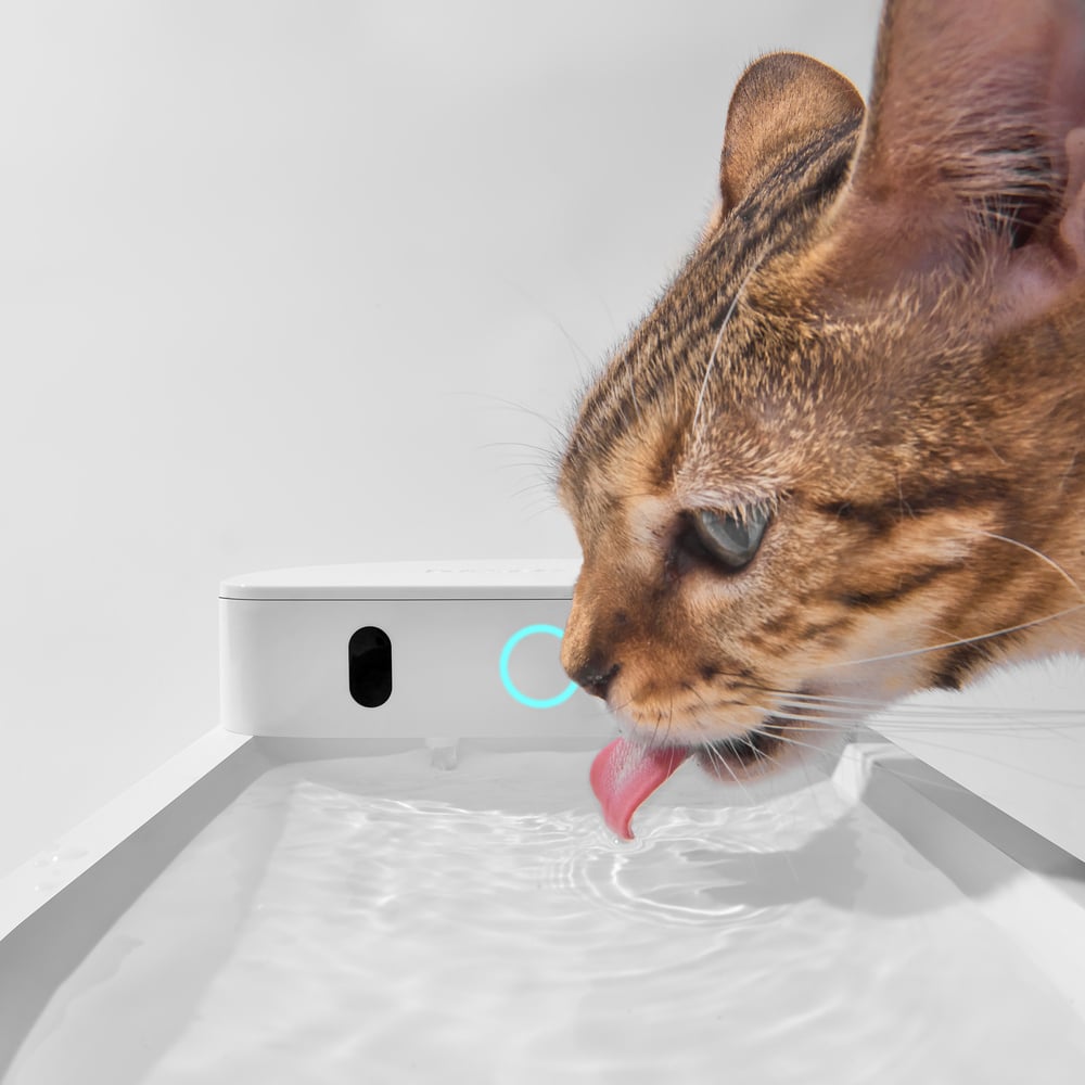 Поилка беспроводная для кошек Catlink Pure 3 Wireless 2,3 л - белый Поилка беспроводная для кошек Catlink Pure 3 Wireless 2,3 л - белый