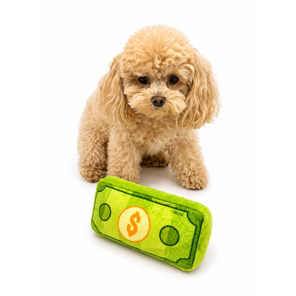 Іграшка для собак Pet Fun Долар з пискавкою 16×8×3,5 см - зелений