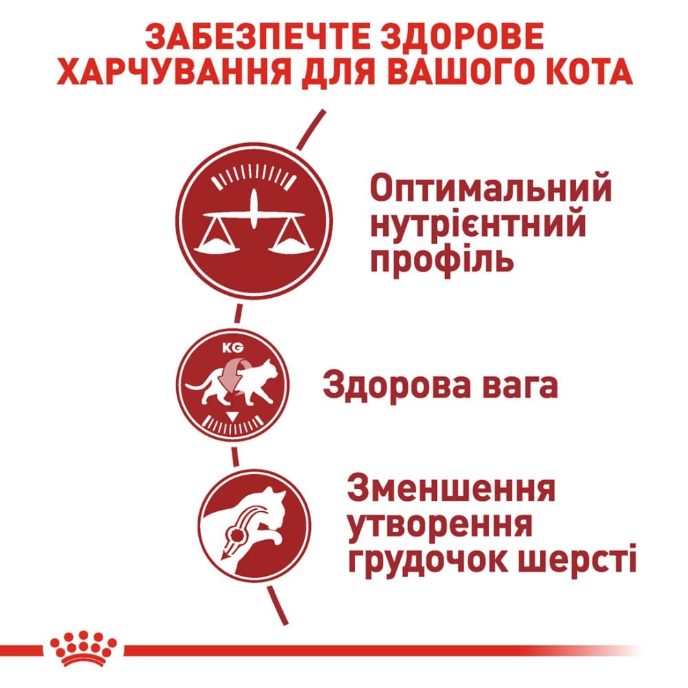 Сухий корм для котів Royal Canin Fit 32 4 кг + Іграшка-диспенсер для ласощів