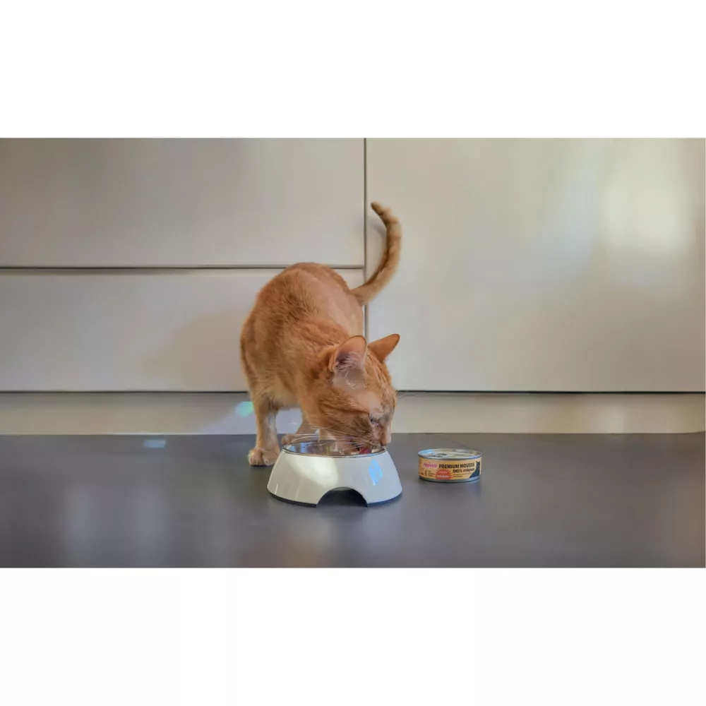 Вологий корм для котів Comfy Appetit Premium Mousse 85 г - ягня Вологий корм для котів Comfy Appetit Premium Mousse 85 г - ягня