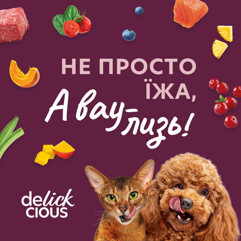 Набор супов для кошек Delickcious 3+1 шт х 80 г - микс вкусов