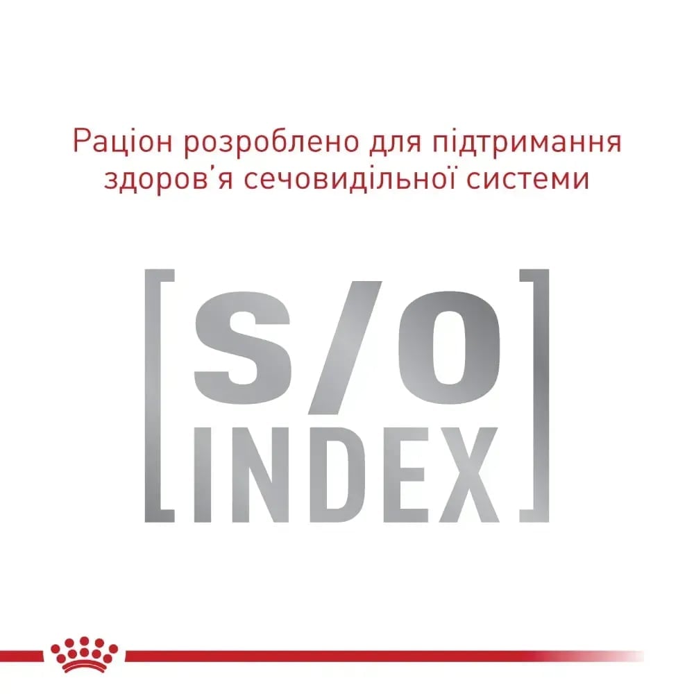 Сухий корм для котів Royal Canin Fussy Exigent 4 кг + Іграшка-диспенсер для ласощів
