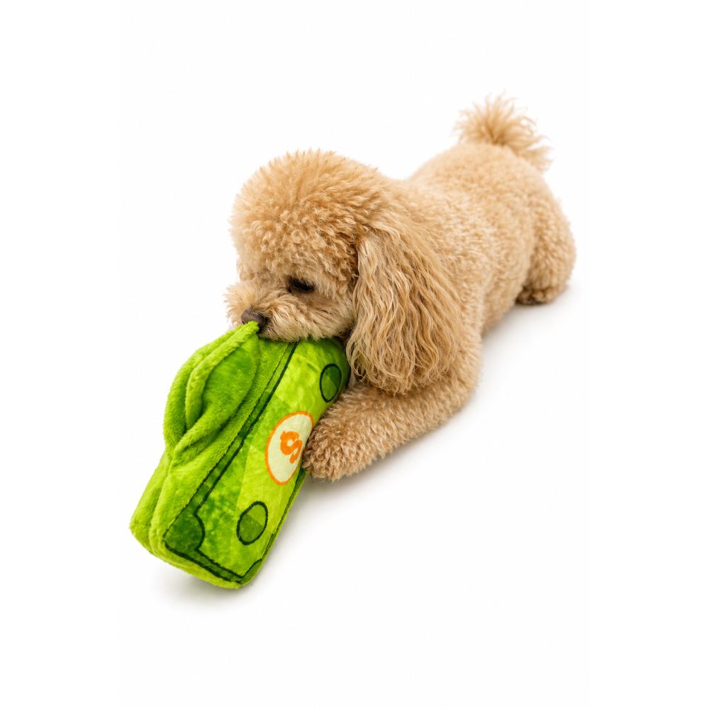 Іграшка для собак Pet Fun Долар з пискавкою 16×8×3,5 см - зелений