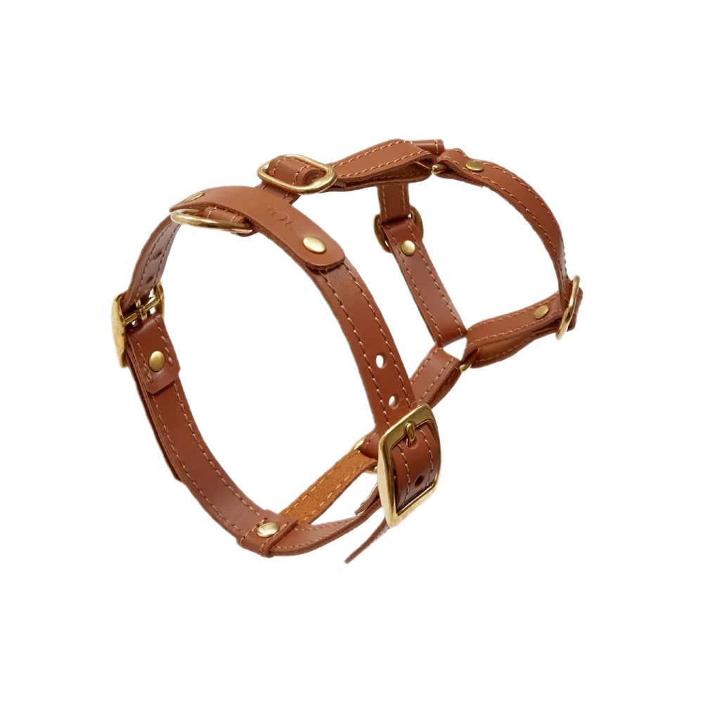 Шлея для собак CHOUCHOU Classy XS - рудий Шлея для собак CHOUCHOU Classy XS - рудий