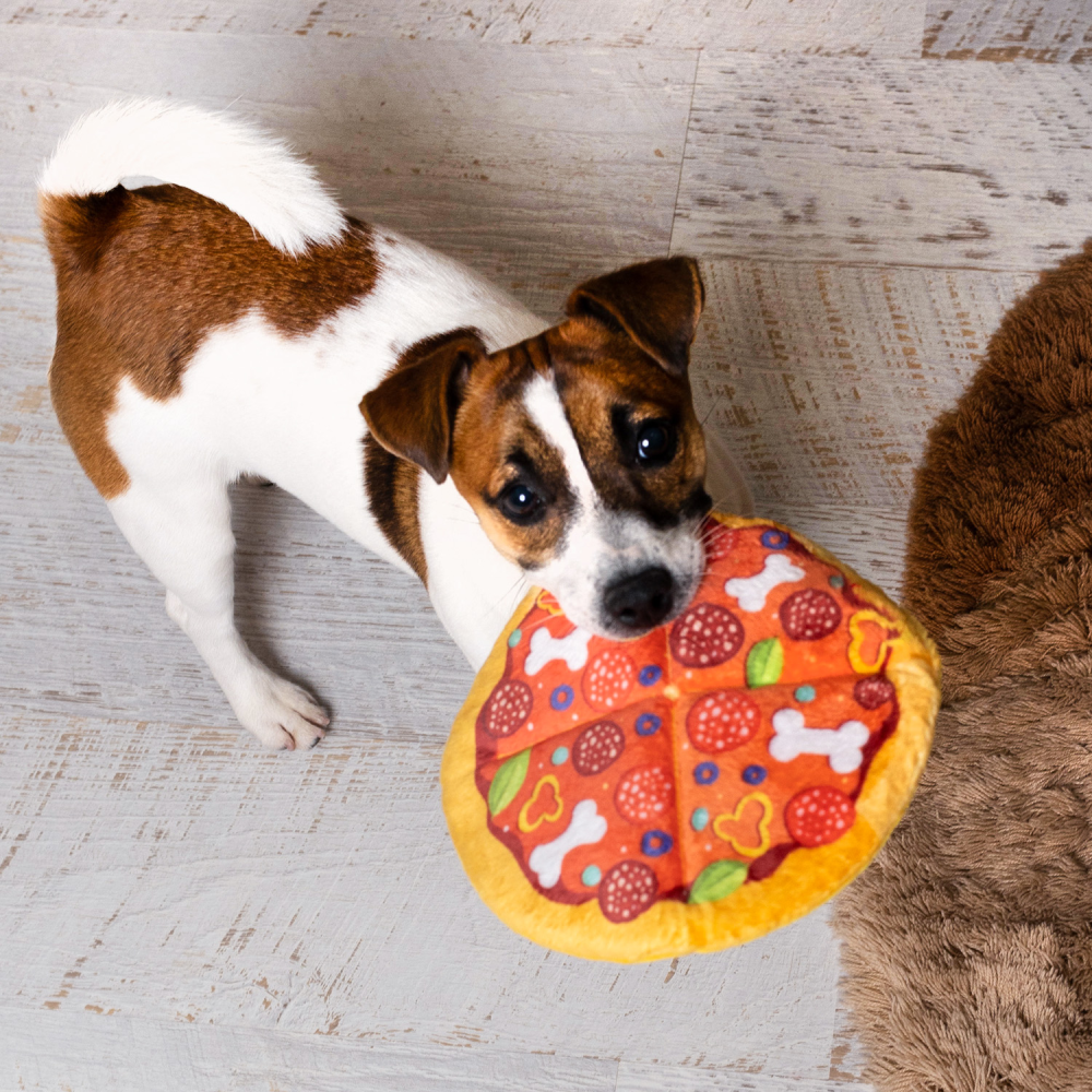 Іграшка для собак Pet Fun Піца з пискавкою 19 см - різнокольоровий