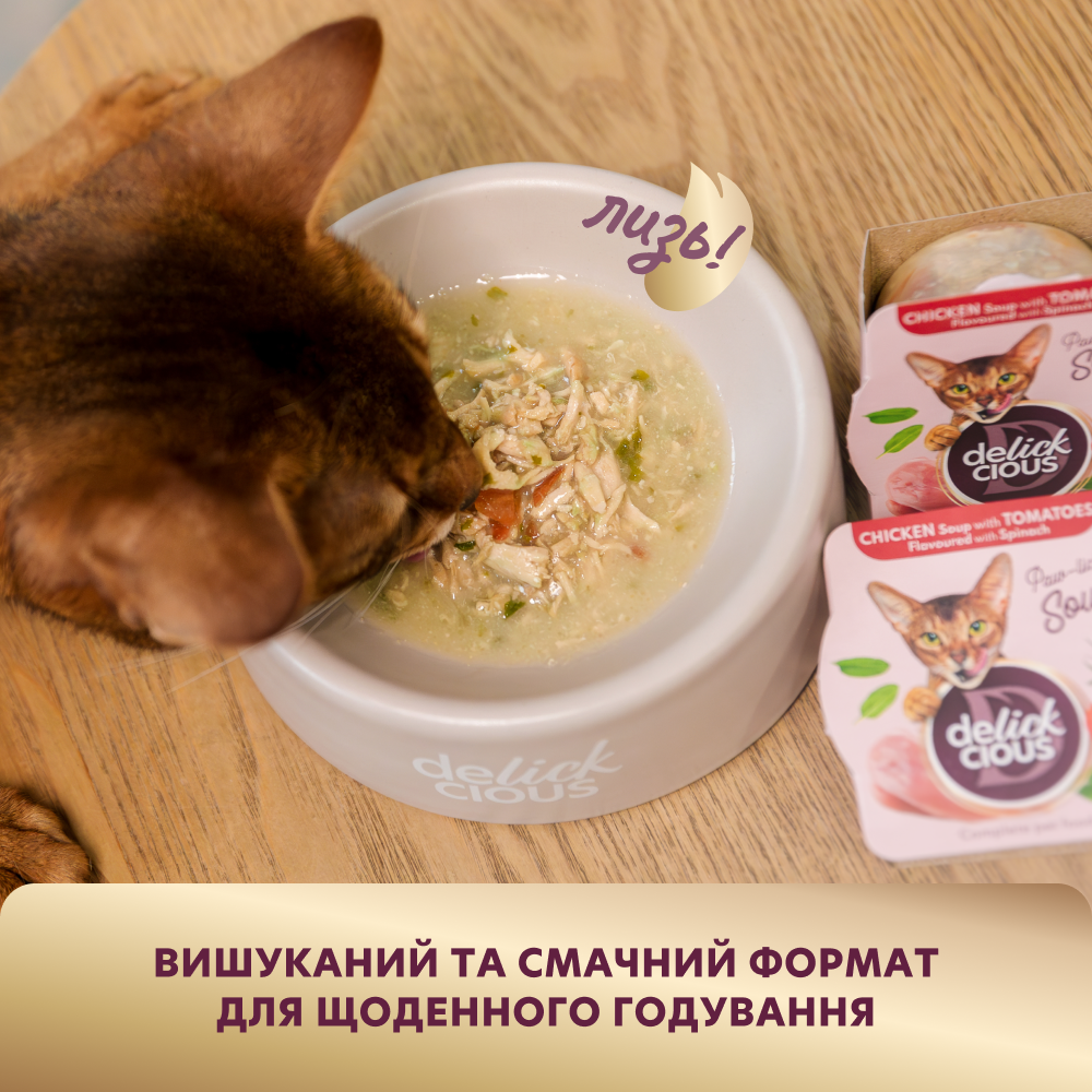 Набор супов для кошек Delickcious 3+1 шт х 80 г - микс вкусов