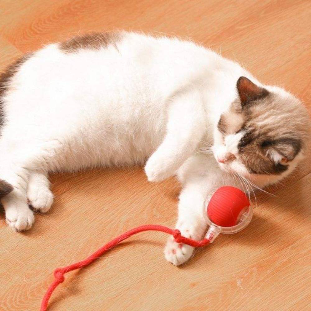 Игрушка для кошек Me&Pet Мяч с веревкой 5 см – красный Игрушка для кошек Me&Pet Мяч с веревкой 5 см – красный