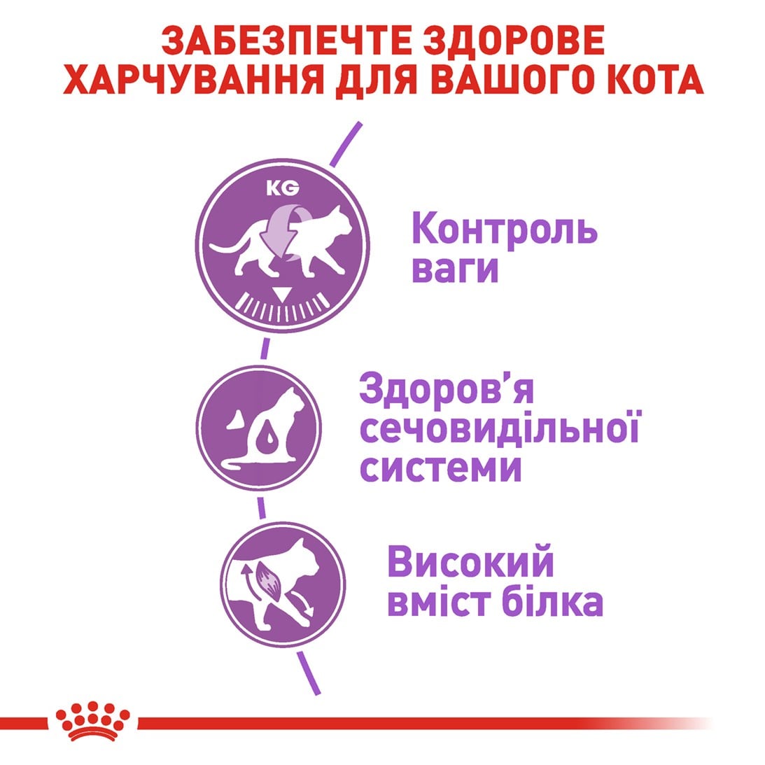 Сухий корм для котів Royal Canin Sterilised 37 4 кг + Іграшка-диспенсер для ласощів Сухий корм для котів Royal Canin Sterilised 37 4 кг + Іграшка-диспенсер для ласощів