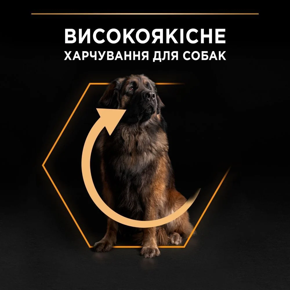 Cухий корм для собак Pro Plan Large Robust Adult Everyday Nutrition 14 кг - курка