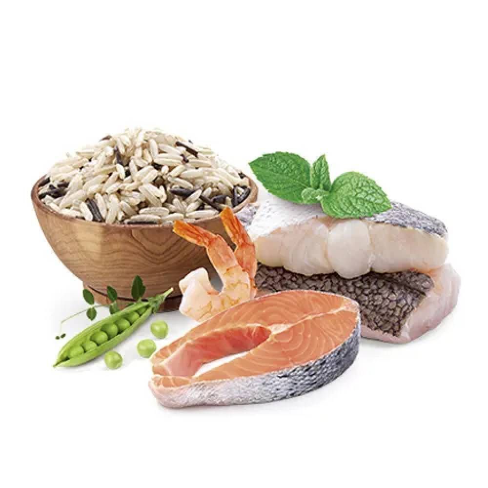 Cухий корм для собак Home Food Hypoallergenic Adult Medium 1,6 кг - форель та рис