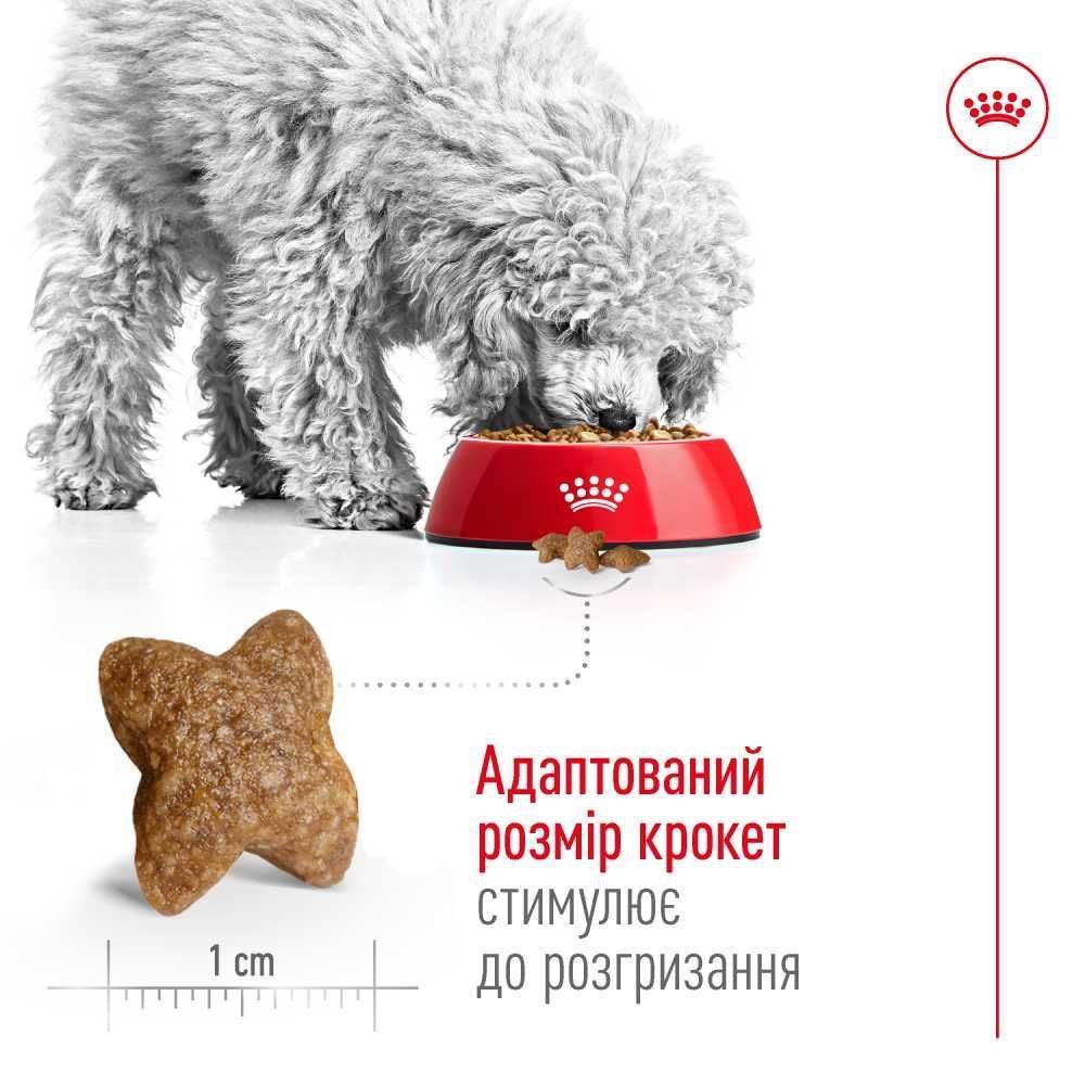 Cухий корм для собак Royal Canin Mini Adult 1,6 кг + 400 г