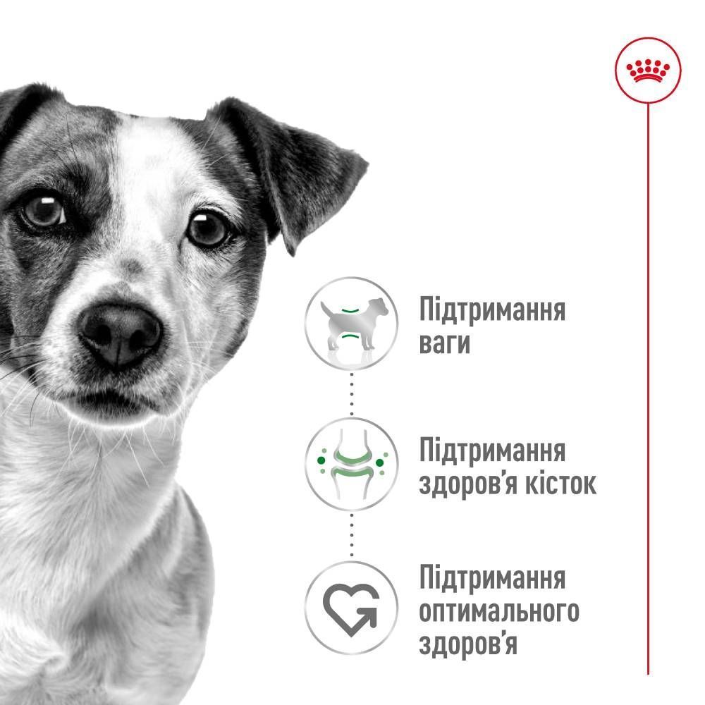 Cухий корм для собак Royal Canin Mini Adult 1,6 кг + 400 г