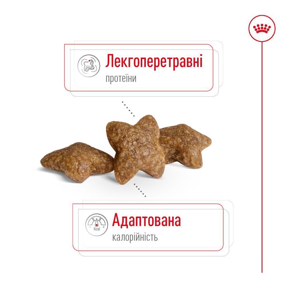 Cухий корм для собак Royal Canin Mini Adult 1,6 кг + 400 г