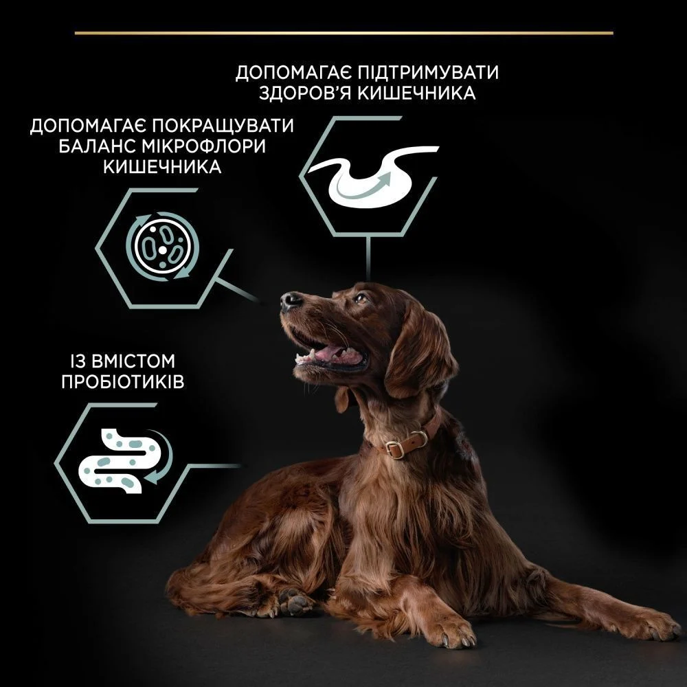 Cухий корм для собак Pro Plan Large Athletic Adult Sensitive Digestion 14 кг - ягня
