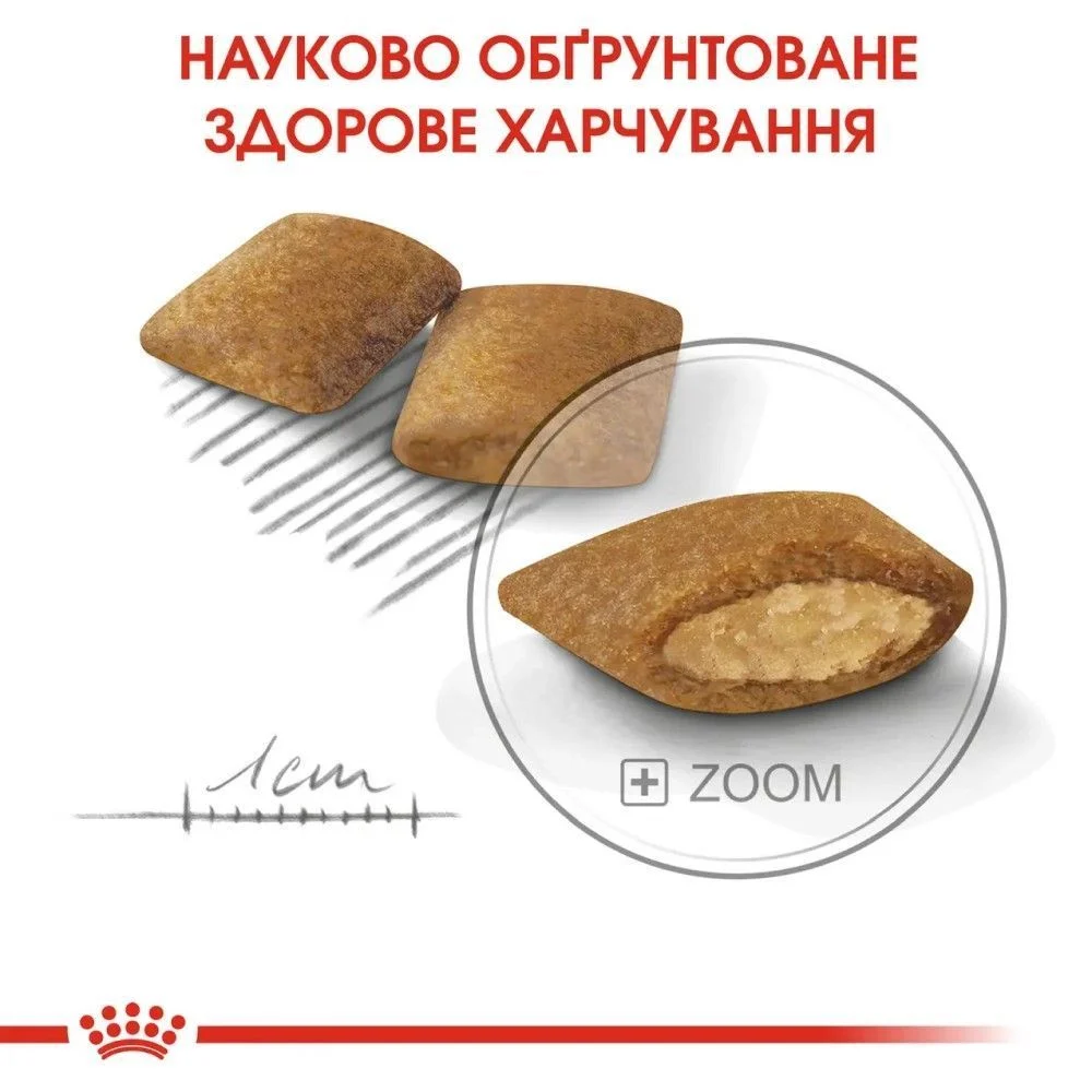 Сухий корм для собак Royal Canin Mini Exigent 3 кг