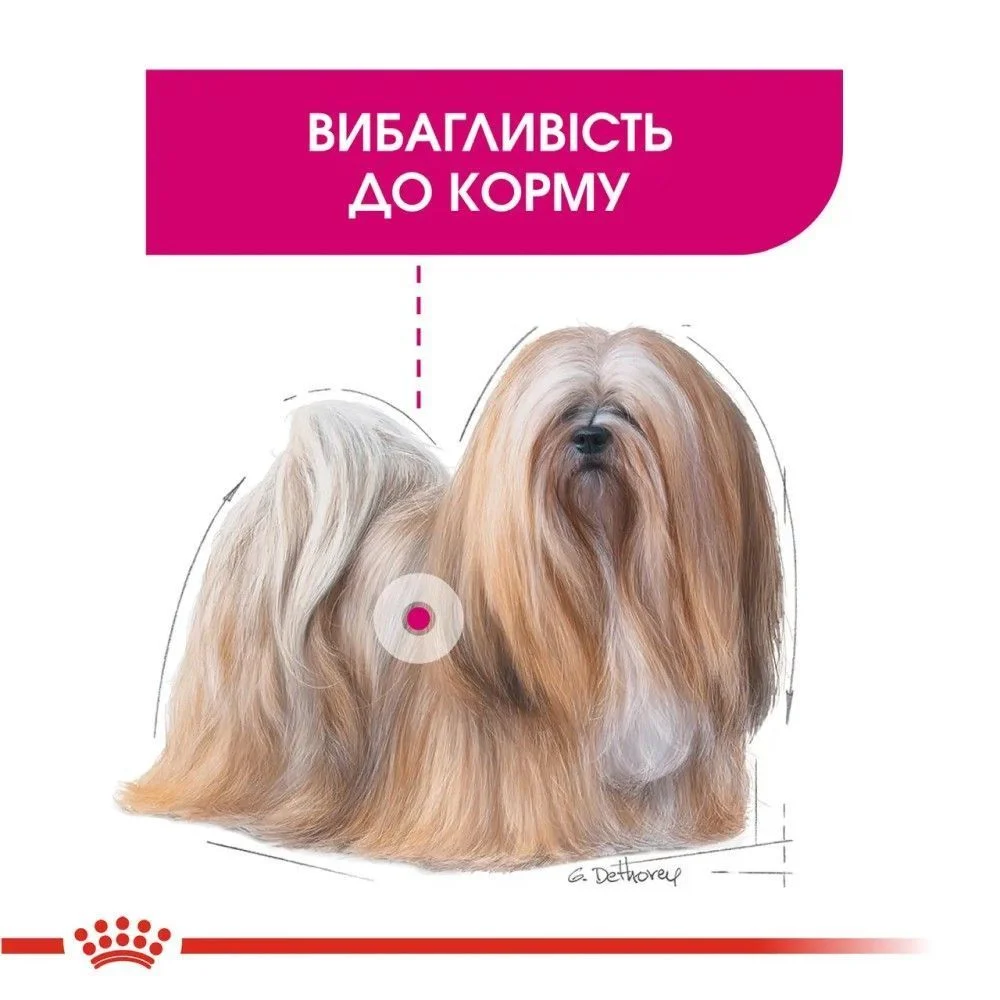 Сухий корм для собак Royal Canin Mini Exigent 3 кг