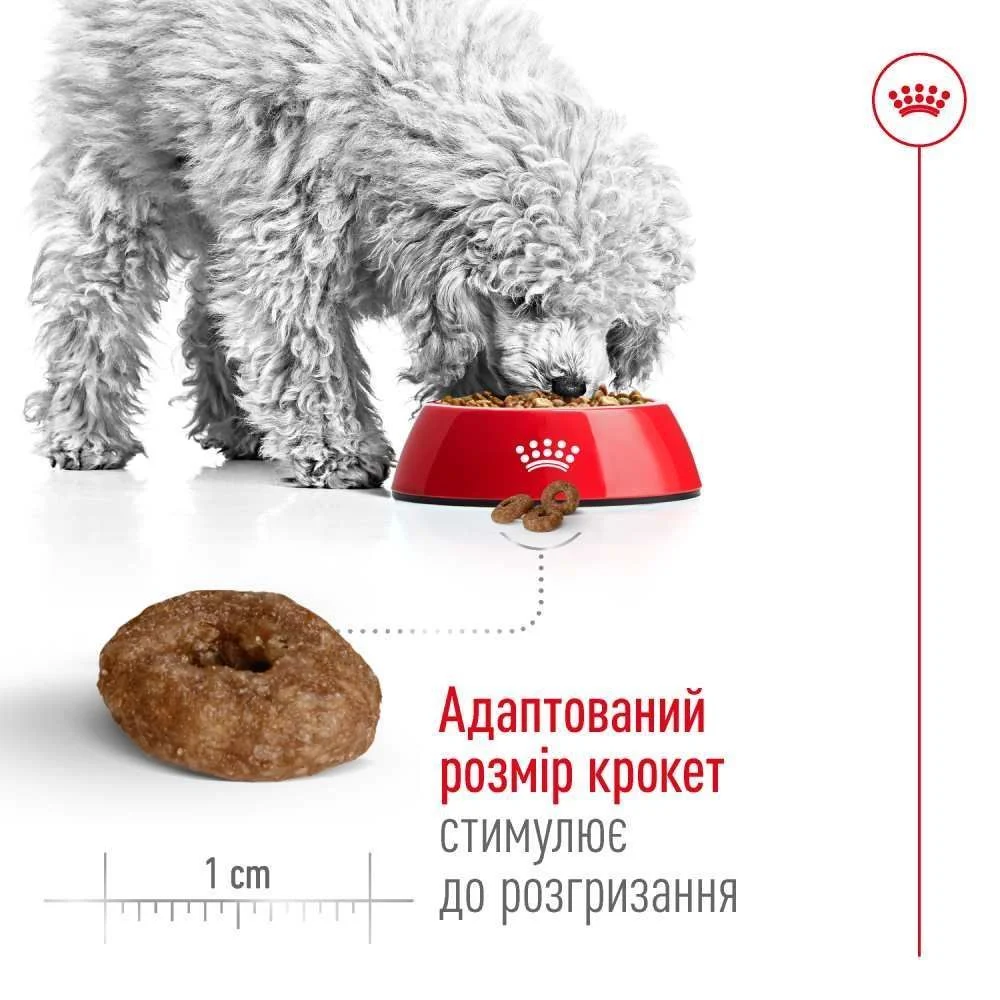 Cухий корм для собак Royal Canin Mini Ageing 12+ 800 г