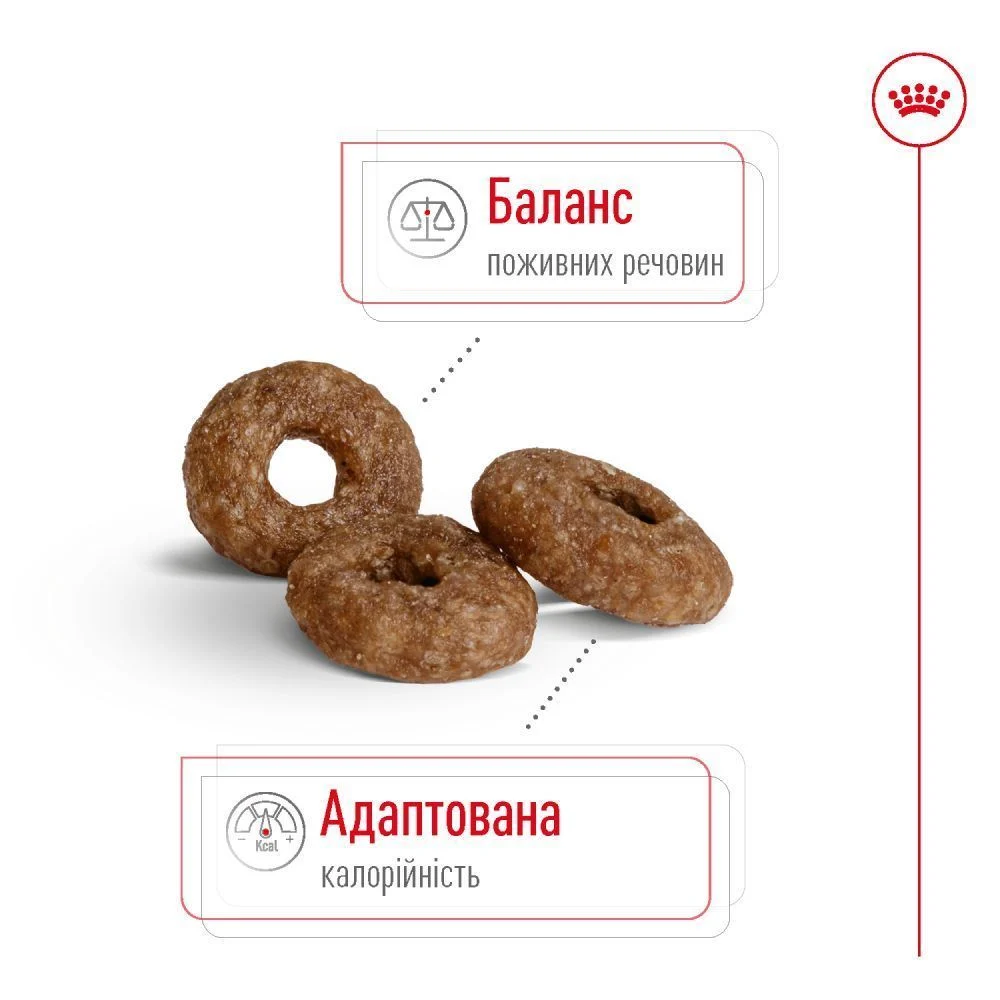 Cухий корм для собак Royal Canin Mini Ageing 12+ 800 г