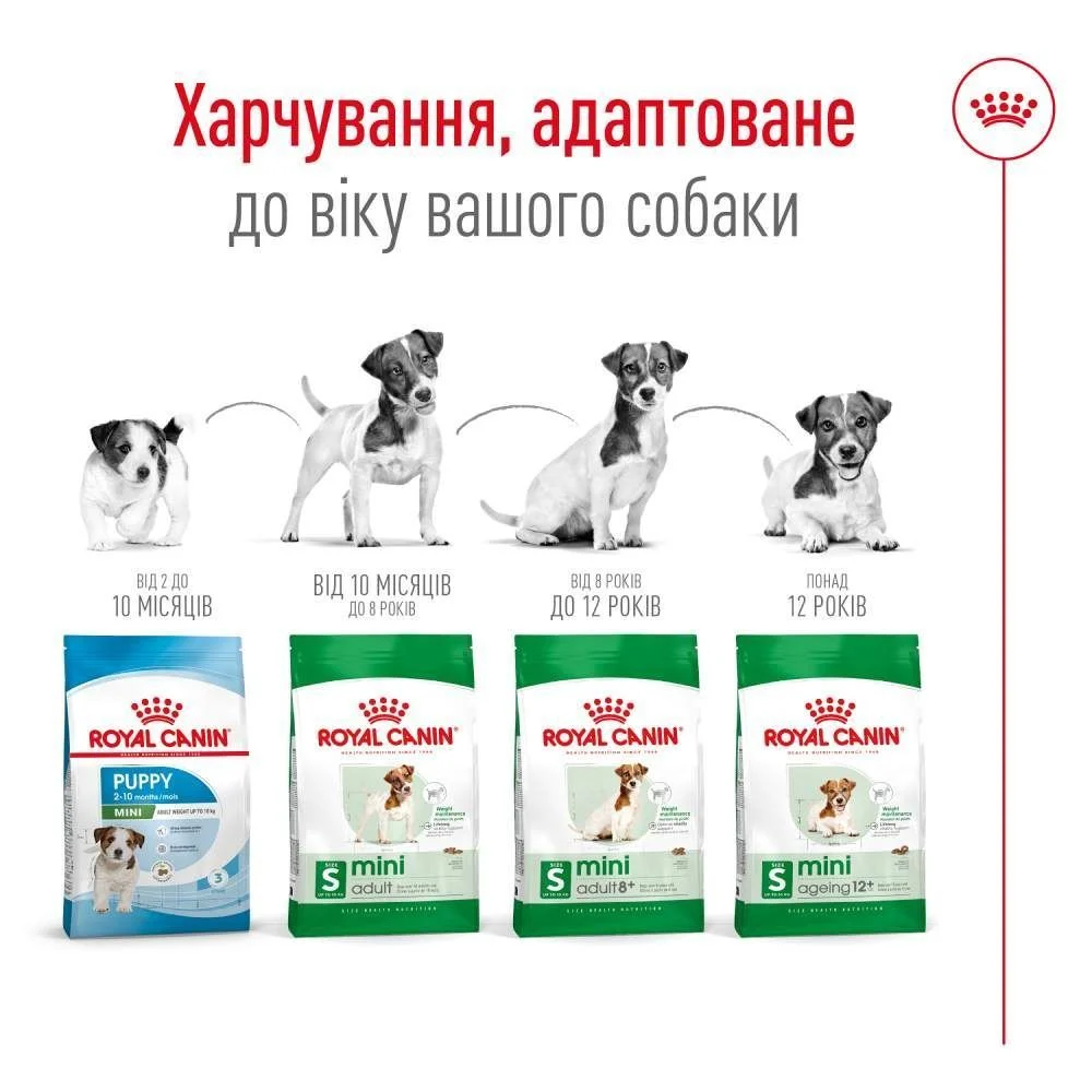 Cухий корм для собак Royal Canin Mini Ageing 12+ 800 г