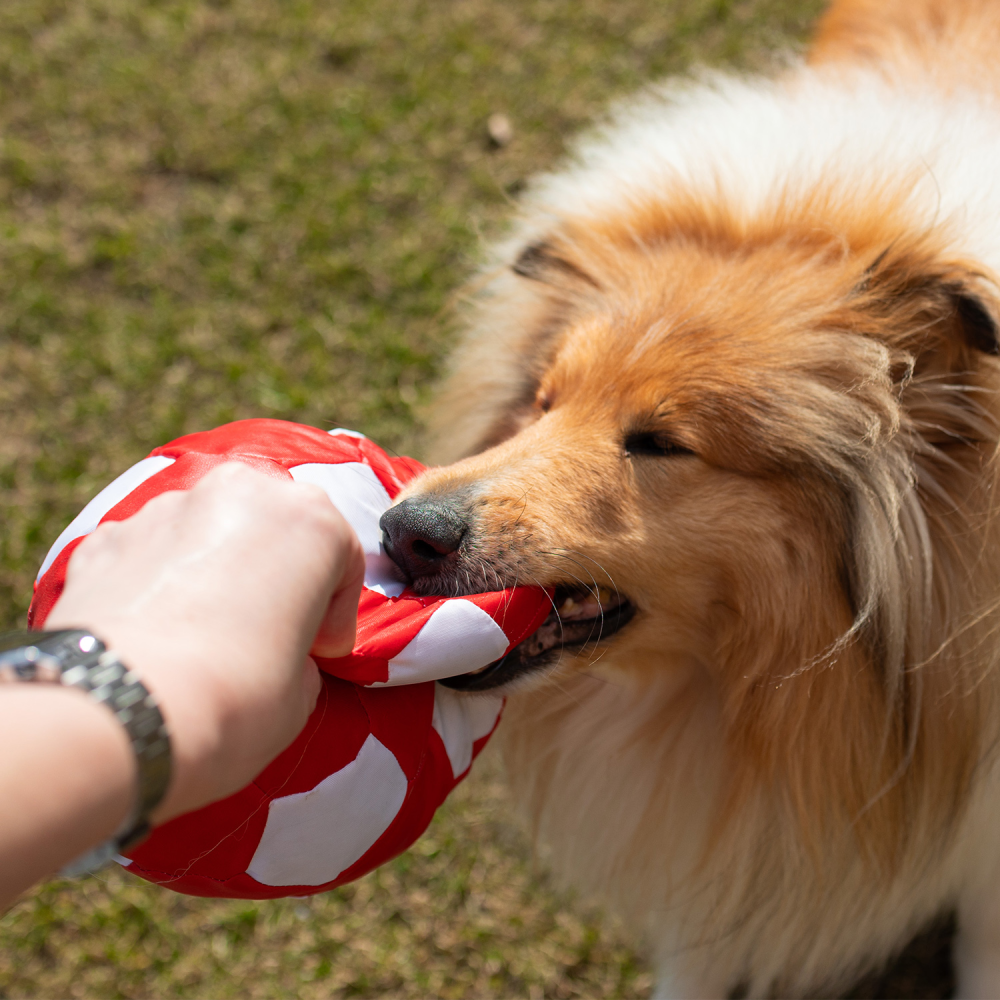 Іграшка для собак Pet Fun М'яч з пискавкою 22см - різнокольоровий