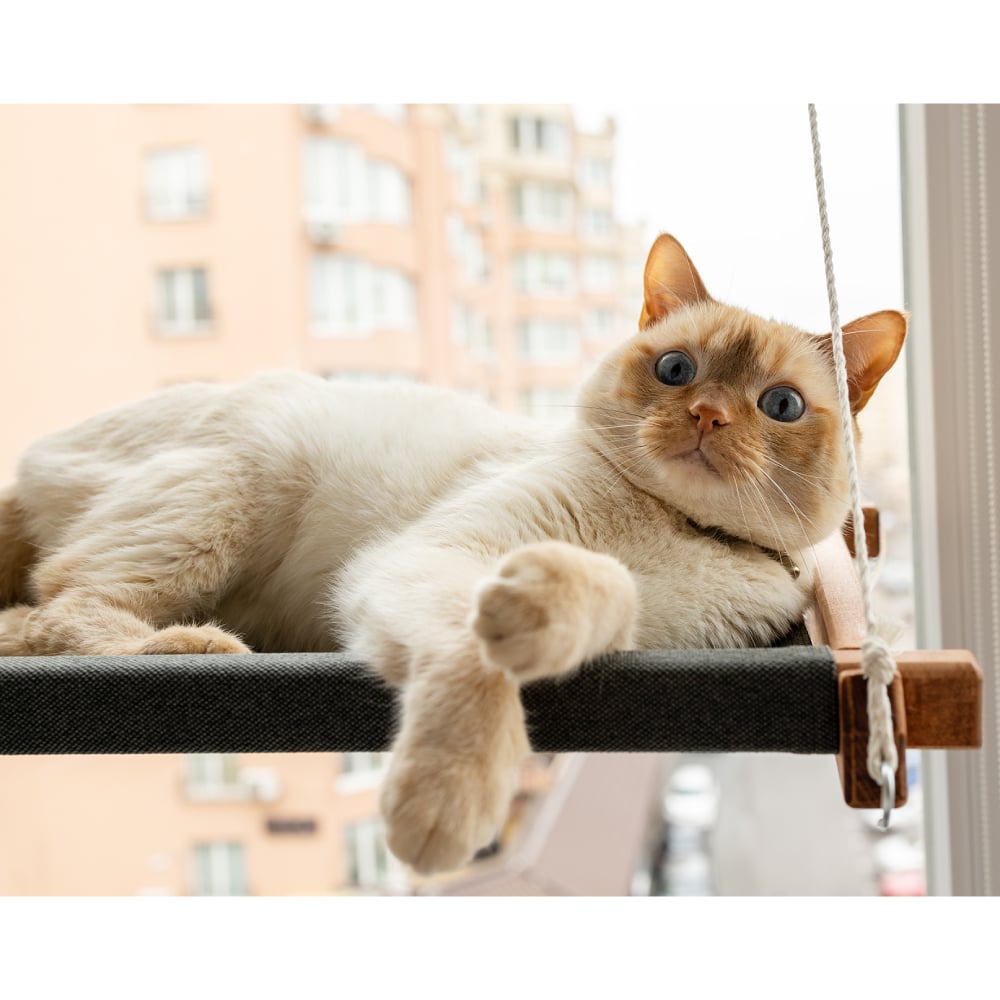 Гамак на вікно для котів PetJoy 54x35x3,5 см - коричнево-сірий