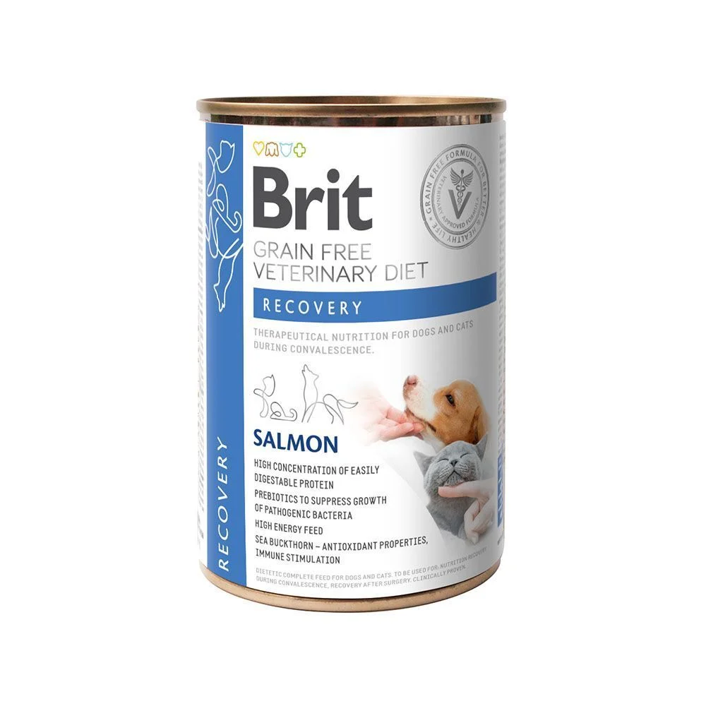 Вологий корм для собак Brit GF Veterinary Diet Recovery 400 г - лосось