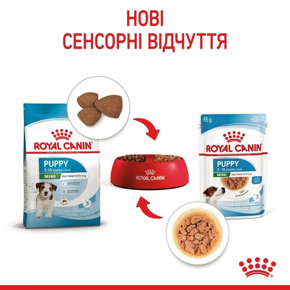 Упаковка вологого корму для цуценят Royal Canin Mini Puppy Sauce 9+3 шт х 85 г