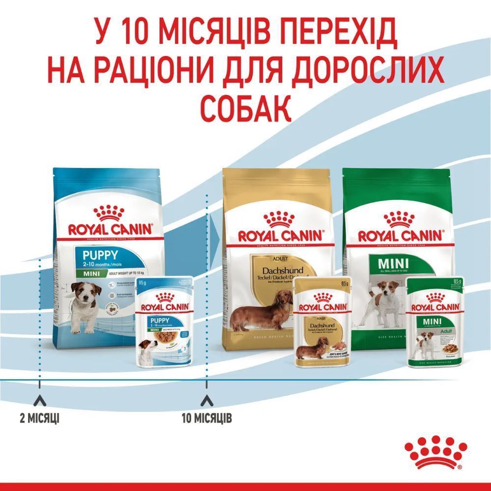 Упаковка вологого корму для цуценят Royal Canin Mini Puppy Sauce 9+3 шт х 85 г