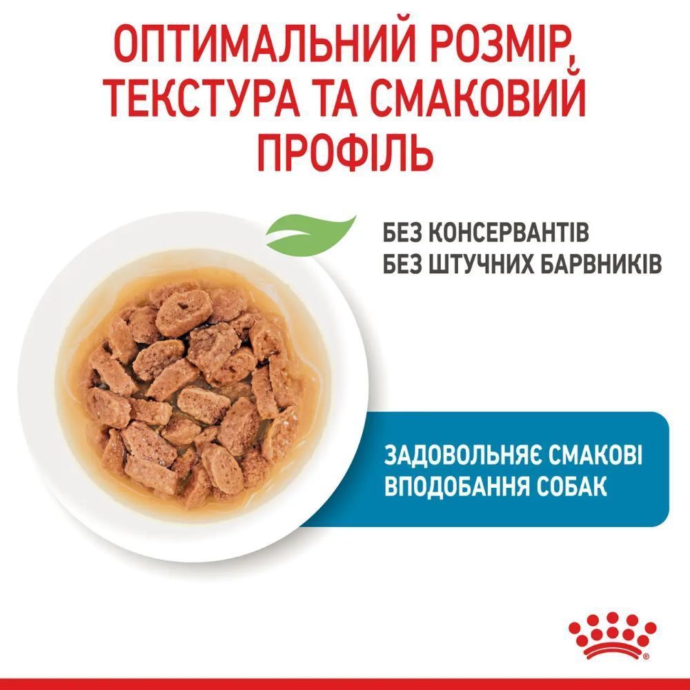 Упаковка вологого корму для цуценят Royal Canin Mini Puppy Sauce 9+3 шт х 85 г