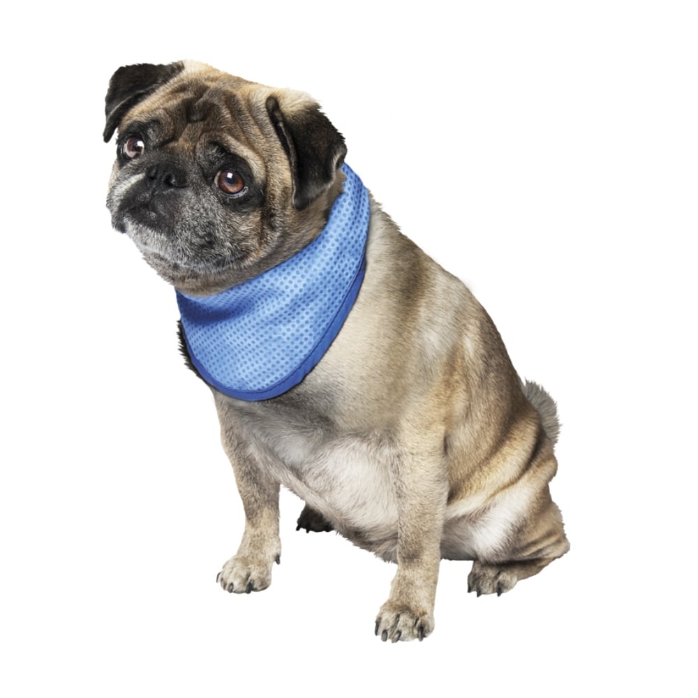 Бандана охолоджувальна для собак Nobby Fresh S 18-30 см - синій Бандана охолоджувальна для собак Nobby Fresh S 18-30 см - синій