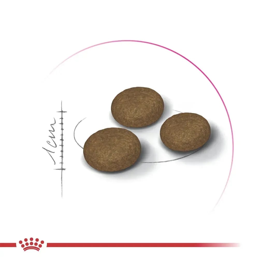 Сухий корм для котів Royal Canin Fussy Exigent 4 кг + Іграшка-диспенсер для ласощів
