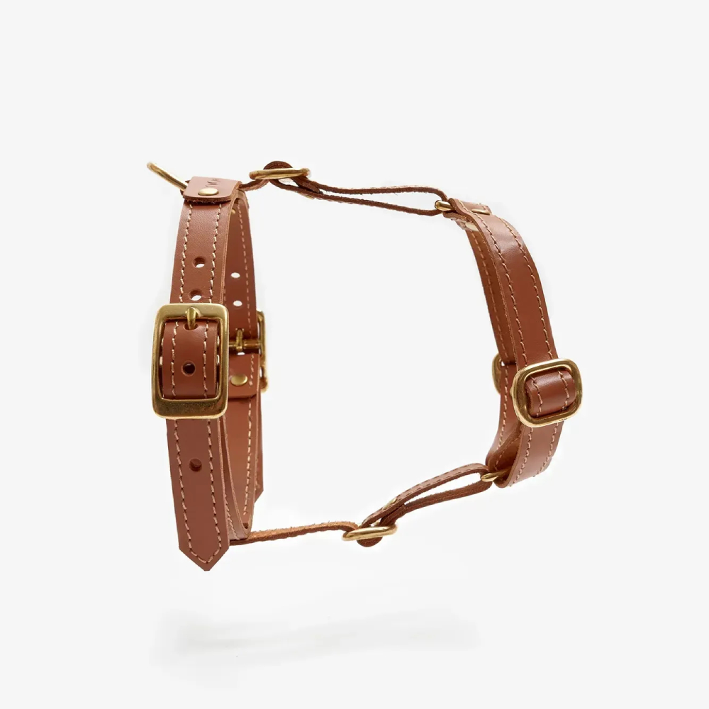 Шлея для собак CHOUCHOU Classy XS - рудий Шлея для собак CHOUCHOU Classy XS - рудий