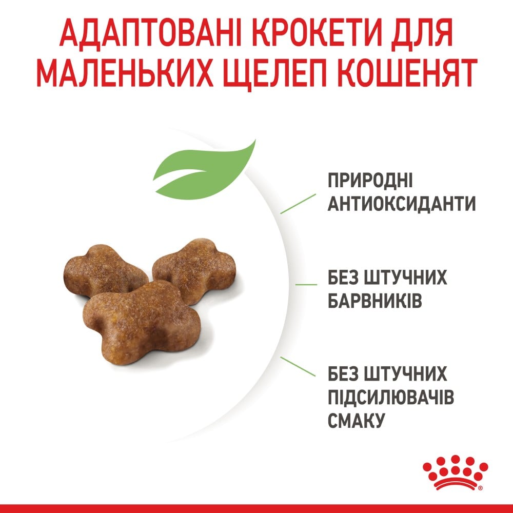 Сухий корм для кошенят Royal Canin Kitten 4 кг + Іграшка-диспенсер для ласощів