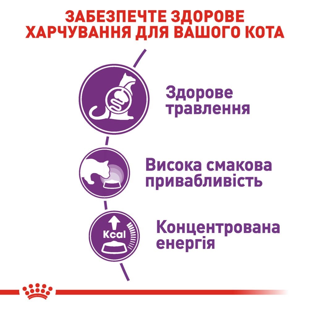 Сухий корм для котів Royal Canin Sensible 33 4 кг + Іграшка-диспенсер для ласощів