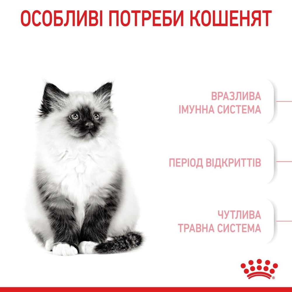 Сухий корм для кошенят Royal Canin Kitten 4 кг + Іграшка-диспенсер для ласощів