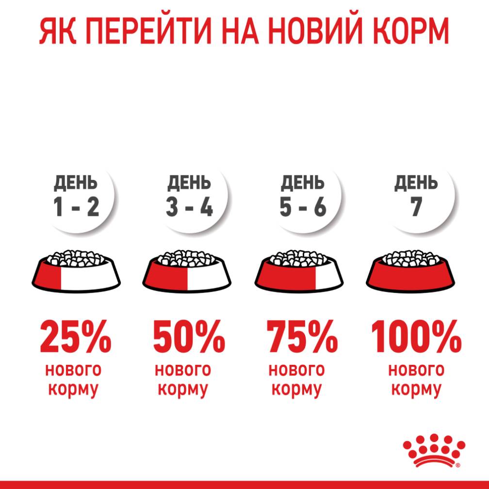 Сухий корм для котів Royal Canin Sensible 33 4 кг + Іграшка-диспенсер для ласощів