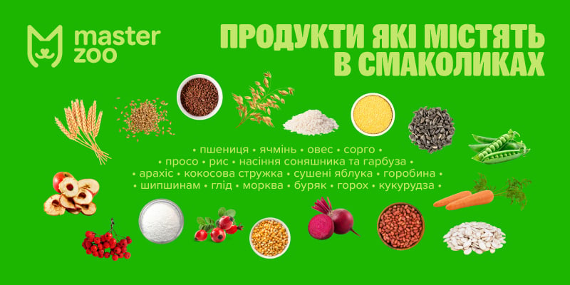 Інфографіка ласощі для гризунів | MasterZoo